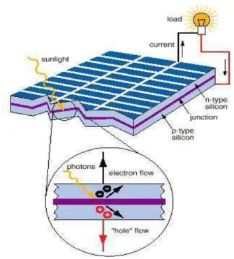 Figure 3.1 Basic Structure of PV Cell