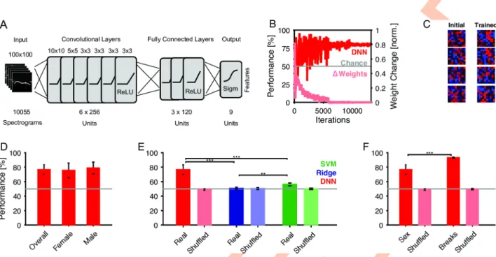 Fig 3. Deep neural network reliably determines the emitter’s sex from individual vocalizations