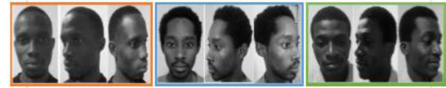 Fig. 8. Distinguished images belonging to same subjects. 