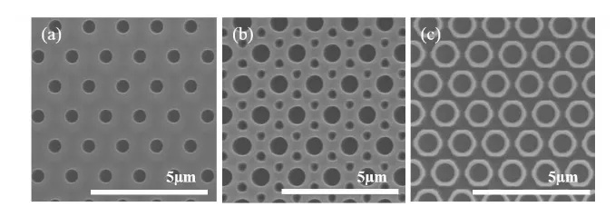 Fig. 2. (a) SEM cross-section image of the axial InGaN/GaN nanotube array obtained after the whole process for (a) low and (b) high magnification