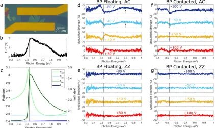 Figure 3.2.  Electrically tunable linear dichroism: quantum-confined Stark and Burstein-Moss effects and forbidden transitions
