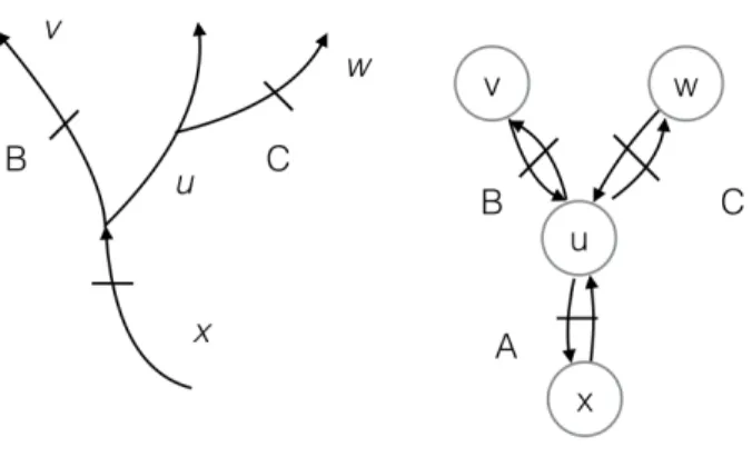 Figure 4.2: Left: sample river network with barriers A, B, C and contiguous regions u, v, w, x