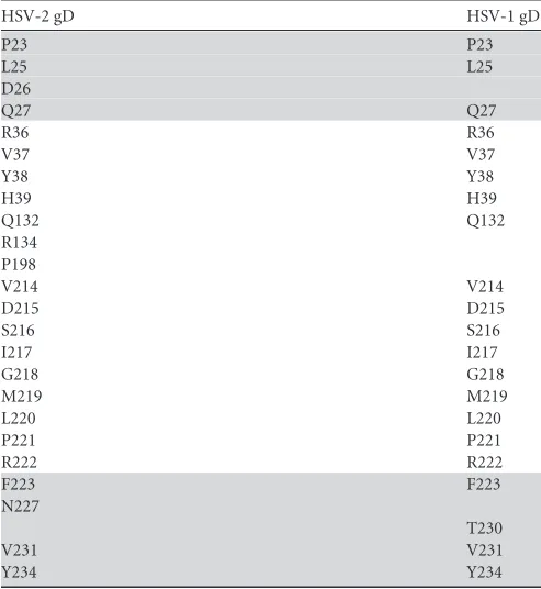 TABLE 3 Comparison between HSV-1 and HSV-2 gDs for the patchresidues locating at the nectin-1 binding interfacea
