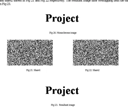 Fig 20. Monochrome image  