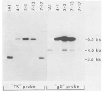 FIG.progeny