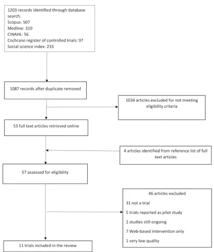 Figure 1. Flow diagram of the study selection process.