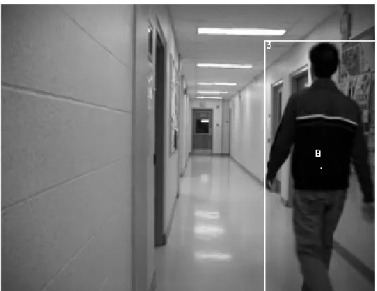 Figure 2.6: Moving object in camera FOV 