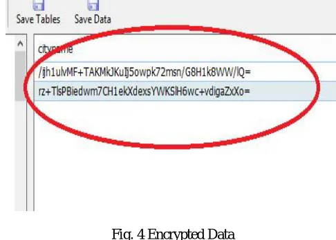 Fig. 4 Encrypted Data   