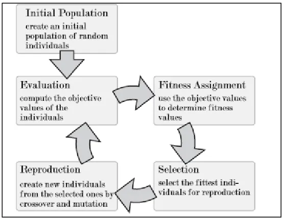 Figure 4.4: Multi Objective Evolutionary Algorithm   
