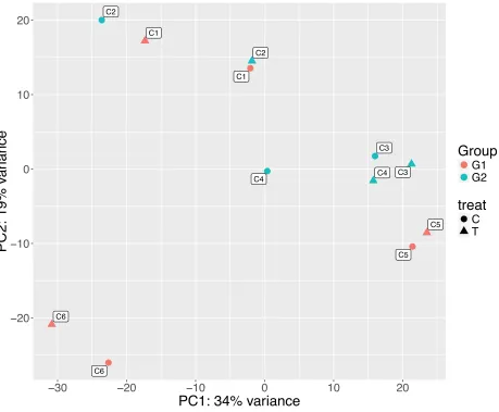 Figure 2.2:  Principal component analysis based on normalized, variance stabilized counts for all showing the competing Lobophytum samples