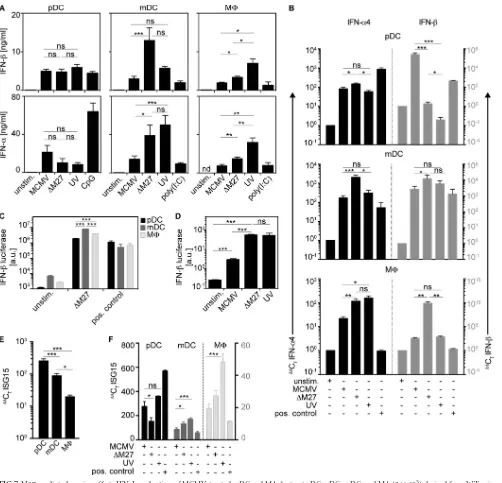 FIG 7 M27-mediated evasion affects IFN-I production of MCMV-treated mDC and M(�, but not pDC