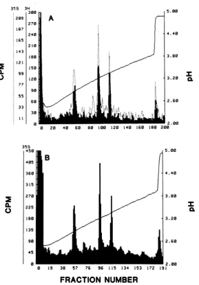 FIG. 3.infectedminimmunoprecipitatedlabeledSolidFig. Tryptic peptide analysis of gD-2 polypeptides synthesized in vitro and in vivo