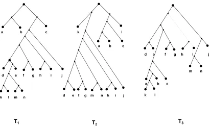 Figure 2.3: Three rooted phylogeny trees