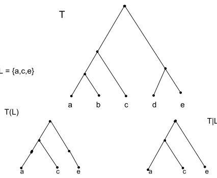 Figure 2.5: A rooted tree T with leaf-set [a,b,c,d,e] , subtree T(L) and restrictionsubtree T|L where L=[a,c,e]
