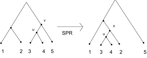 Figure 2.6: rSPR Operation