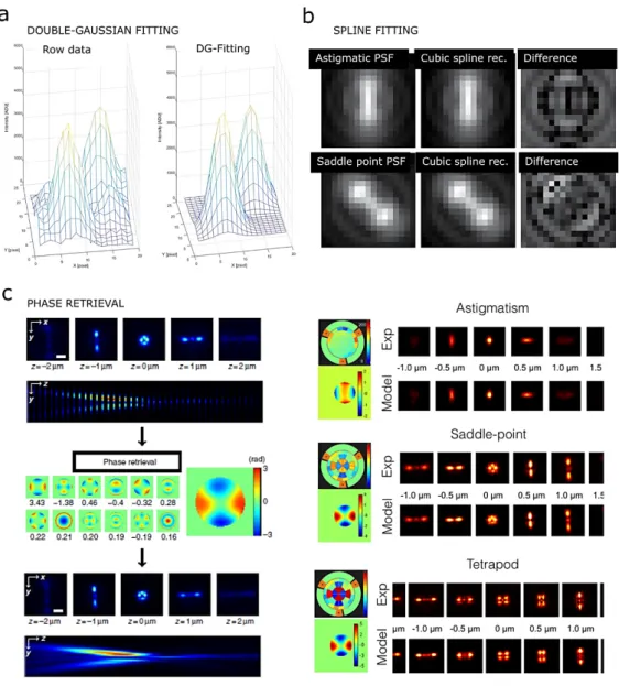 Figure 2-11 – DH-SMLM algorithms. a, Typical 2-Gaussian analytical fitting of the DH-PSF.; b, Spline PSFs reconstruction  of  an astigmatic and saddle PSFs 127 ; c, Left ZOLA phase retrieval approach 128 