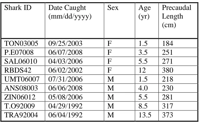Table 2.1- Date of collection, sex, age and size of the nine white sharks sampled from South Africa and used in the analysis of element profiles across vertebral centra by Fs-LA-ICP-MS