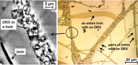 Figure 3.2: Experimental observation of the DRX inside of deformation twinning [23]
