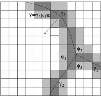 Figure 3.4: Schematic representation of the domain with grain boundaries in the phase-field model [77]