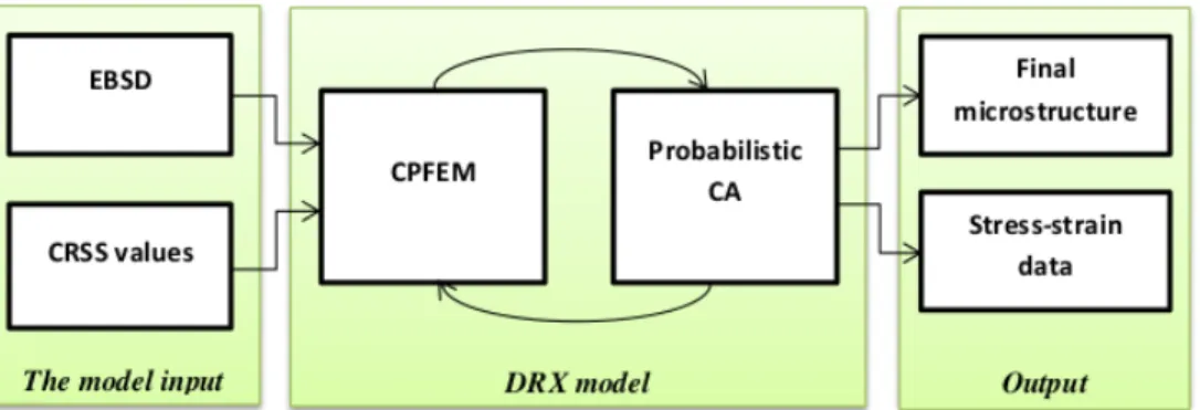 Figure 4.1: Flow chart of the coupling of CPFEM and CA