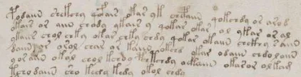 Figure 1: A sample from the Voynich manuscript.