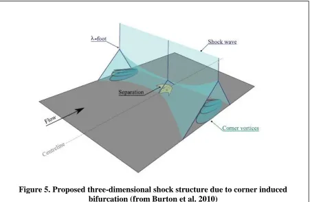 Figure 5. Proposed three-dimensional shock structure due to corner induced  bifurcation (from Burton et al