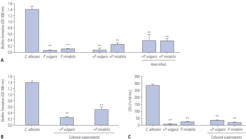 Fig. 1. The effect of on The amount of biofilm formed was assessed with the XTT reduction assay