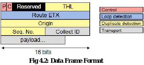 Fig 4.2: Data Frame Format  