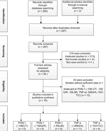 Figure 1. Flow diagram of the study selection process.