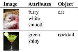 Table 1: List of attributes in the evaluation dataset.