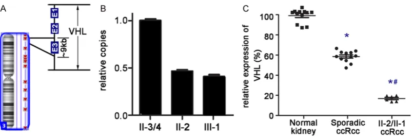 Figure 2. Deletions in the VHL gene were detected by various methods. A. Array-CGH enabled the detection of a 9 kb deletion at 3p25.3, where the VHL gene is located