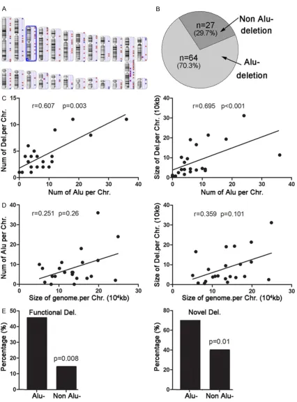 Figure 3. A. Deletions detected by Array-CGH acrossthe whole genome of II2. B. The majority of deletions were ments at each chromosome (r=0.695, P<0.001)