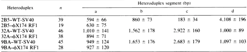 TABLE 2. Heteroduplex analysis of three cloned SV40-4X174 recombinants"
