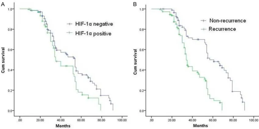 Figure 2. Kaplan-Meier survival curves shows the probability of overall survival in patients with HIF-1α-negative and HIF-1α-positive expression (A) and the comparison of survival between recurrence and non-recurrence (B).