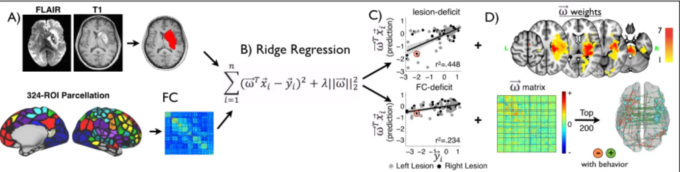 Figure 4-2. Prediction of behavioral deficits on the basis of structural and functional imaging