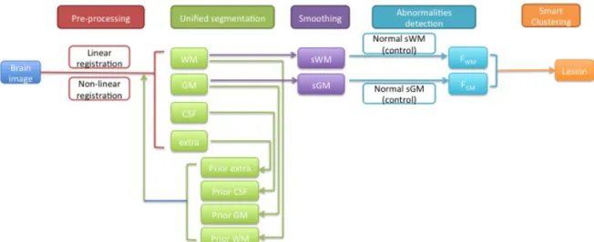 Figure 1.1 Schematic graph of automatic segmentation 