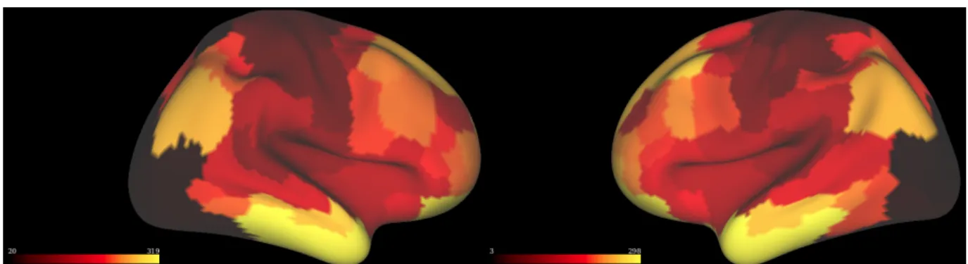 Figure 2.3 Left and right hemisphere correlation maps for control subject 003