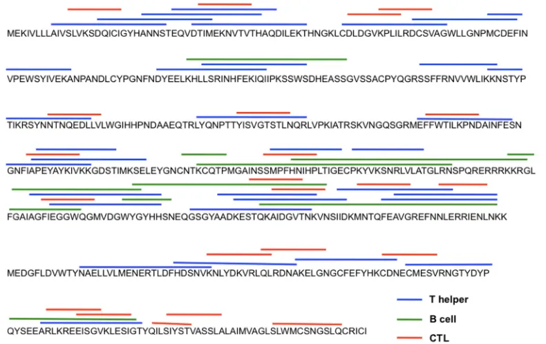 FIG 1 The mosaic H5 hemagglutinin (H5M) sequence. The mosaic H5N1 hemagglutinin (H5M) sequence was deduced from 2,145 HA sequences