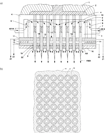Figure 1.2 Multi-Row Meltblowing Die [29]. (a) Cross sectional view; (b) Die face view