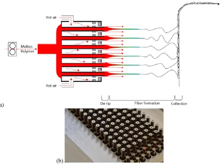 Figure 2.1 Multi-row meltblowing process. (a) Side schematic representation of the multi-row meltblowing design and fiber formation process