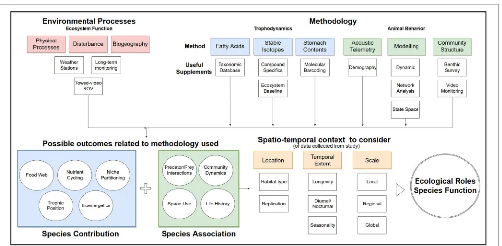 FIGURE 1 | Diagram of how necessary concepts contribute to informingecological roles of a species.