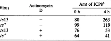 TABLE 1.overproduction Effect of actinomycin D on the of ICP8 after a temperature shifta