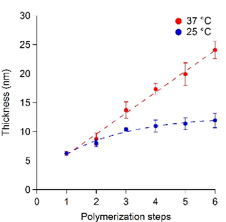 Figure 3. Synthesis of PPEGA-b-PNIPAM brushes by sequential SI-bioATRP of PEGA at 25 °C 