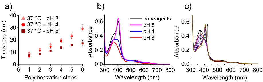 Figure 4. Influence of pH on SI-bioATRP of NIPAM at 37 °C and on the conformation of Hb
