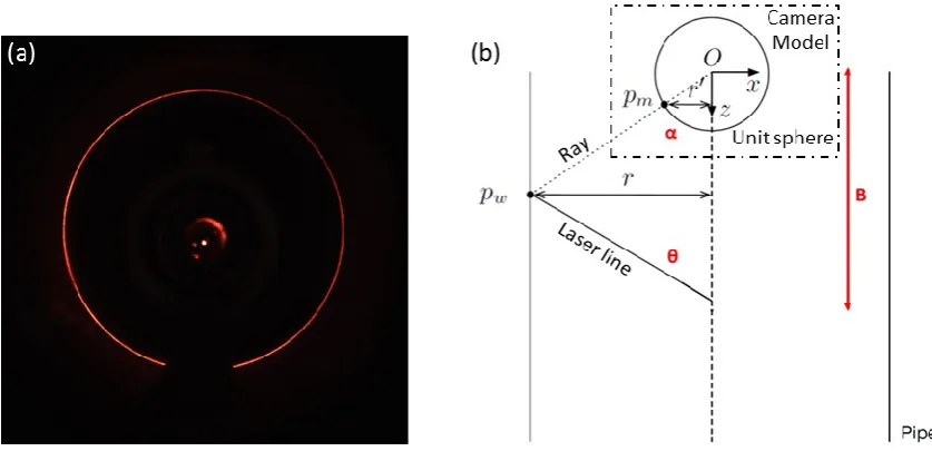 Figure 2 (a) Example of laser profiler image. (b) Laser profiler and camera geometry. 