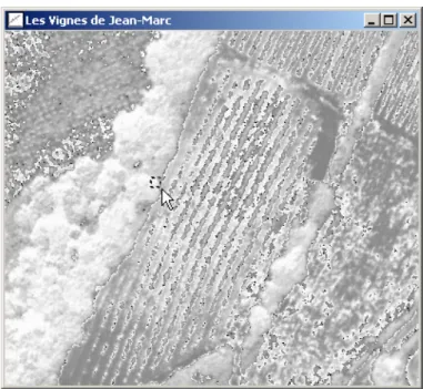 Figure 6: A Pixels-map prototype