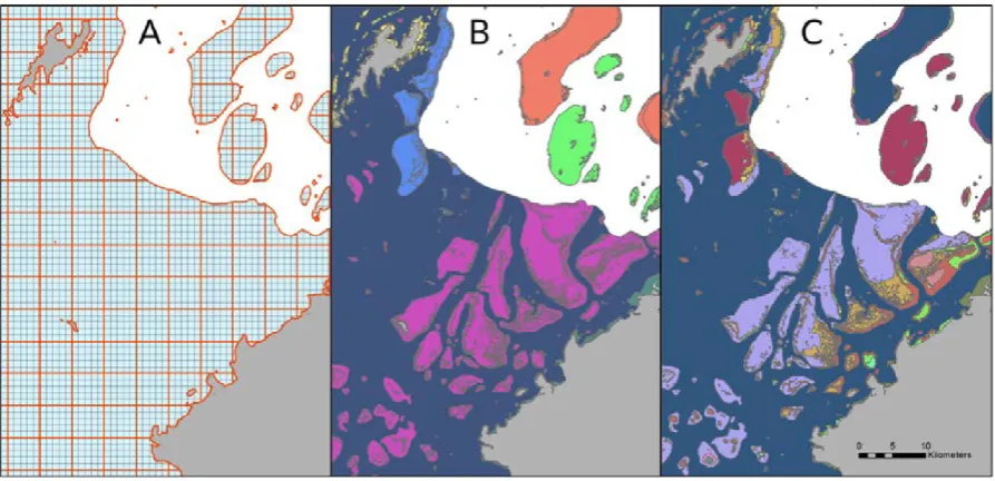 Figure 2.3 Example maps of planning-unit sizes and thematic resolutions explored in the Fiji dataset