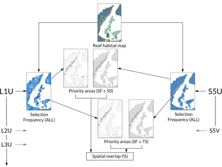 Figure 2.6 The flow of analyses related to spatial nestedness. Analyses described for spatial nestedness, defined here as extent of overlap of high-priority areas based on large planning units (left) with small planning units with high thematic resolution 