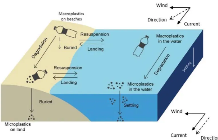 Figure 2.1: Schematic of the physical process pathways plastic items undergo when dumped at sea