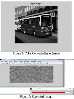 Figure 4: Color Converted Input Image 